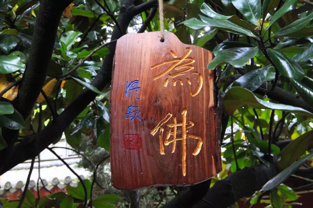 ���ƶ���£��Ұ����£������ǵ�����úöȸ���