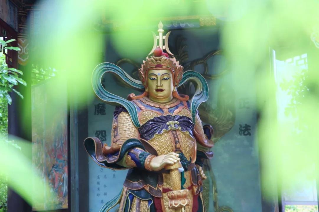 ���ƶ���£��Ұ����£������ǵ�����úöȸ���