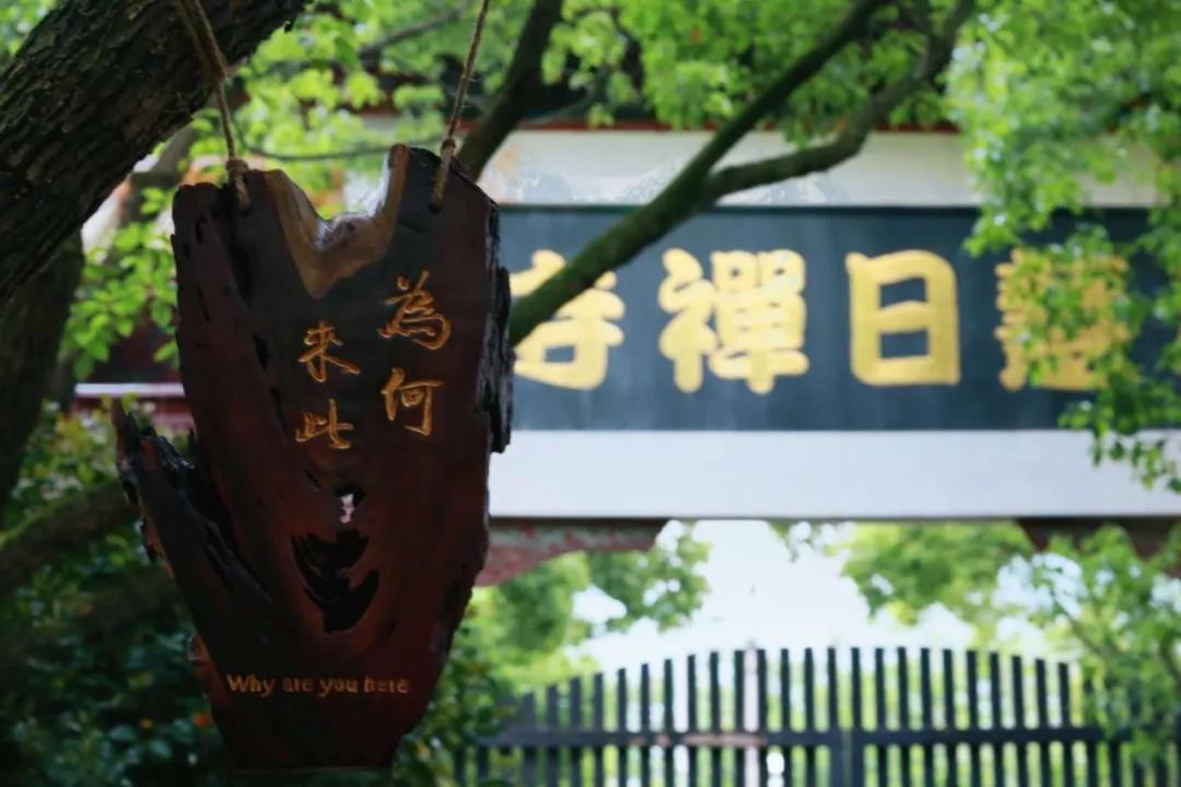 ���ƶ���£��Ұ����£������ǵ�����úöȸ���