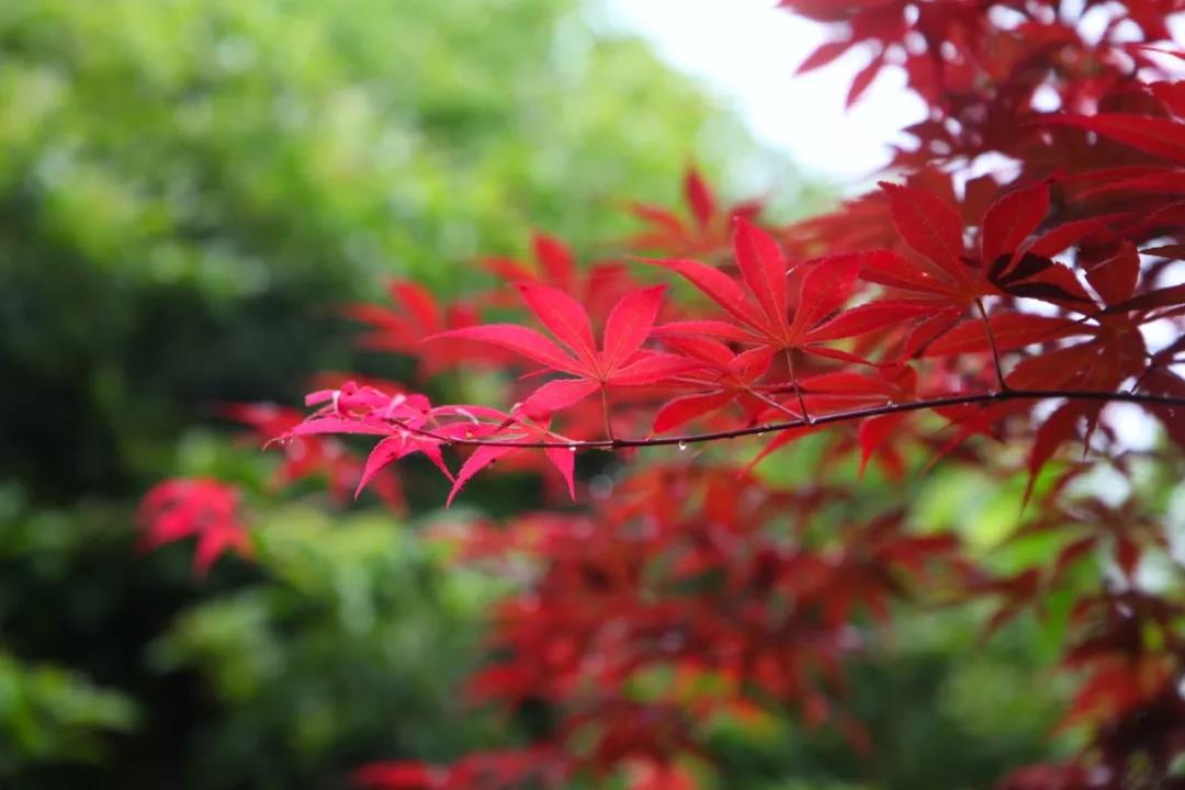 ���ƶ���£��Ұ����£������ǵ�����úöȸ���