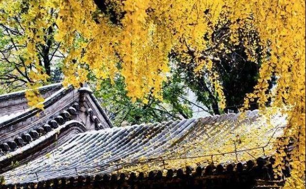 �߹��������·_�����Ϻ��еġ���·