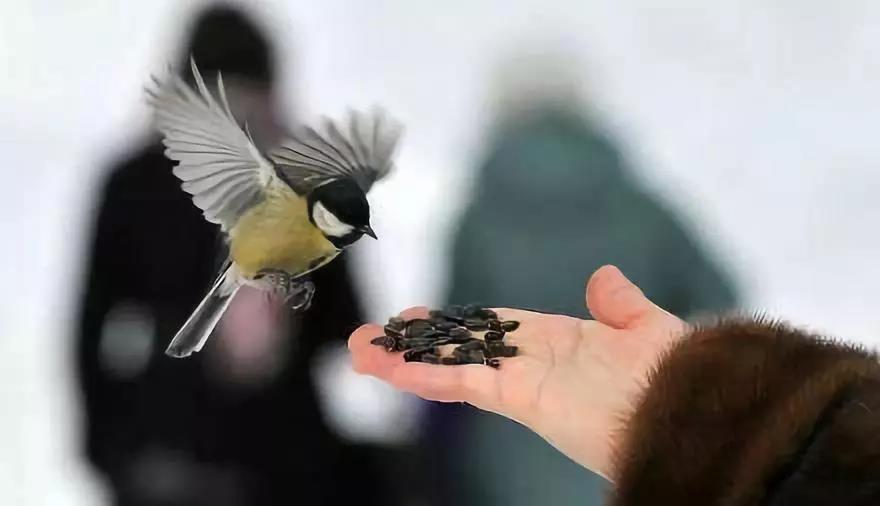 Ϊ������Ҫ������Ϊ�˸���Ҫ��ʩ