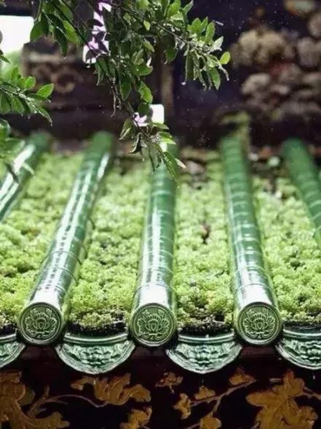 ���˷���ѵ��������10�䣬�ı�������ˣ�