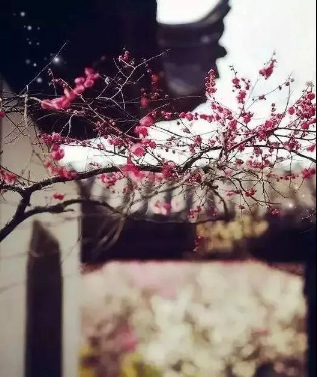 ���˷���ѵ��������10�䣬�ı�������ˣ�