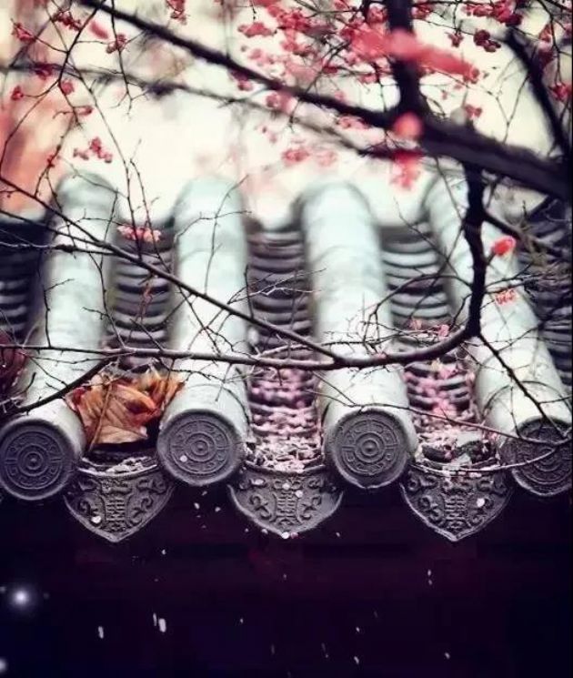 ���˷���ѵ��������10�䣬�ı�������ˣ�