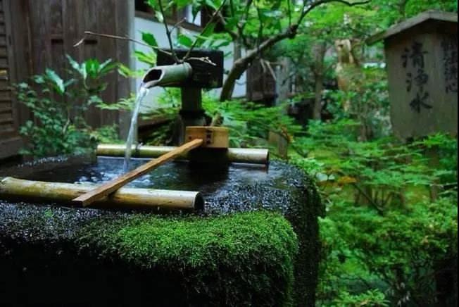 �Թŷ��Ŷ�Т�ӣ�Ը��ĸ�������֣�