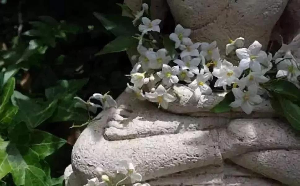 �Թŷ��Ŷ�Т�ӣ�Ը��ĸ�������֣�