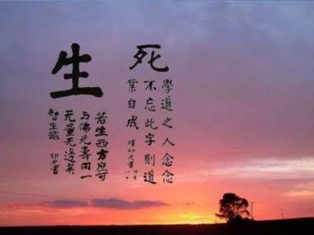 念了十几年的佛,仍是妄想纷飞,问问自己是否有将“死”字挂在眉梢? 念了十几年的佛,仍是妄想纷飞,问问自己是否有将“死”字挂在眉梢?