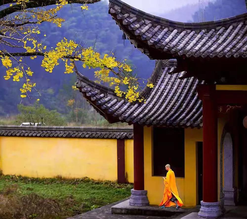 助念,不可不知的几个要点 助念,不可不知的几个要点