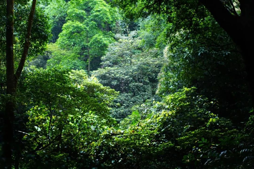 无法参透的,往往是无法忘记的 无法参透的,往往是无法忘记的