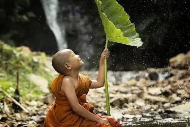 ���������Ҳ��ƽ��