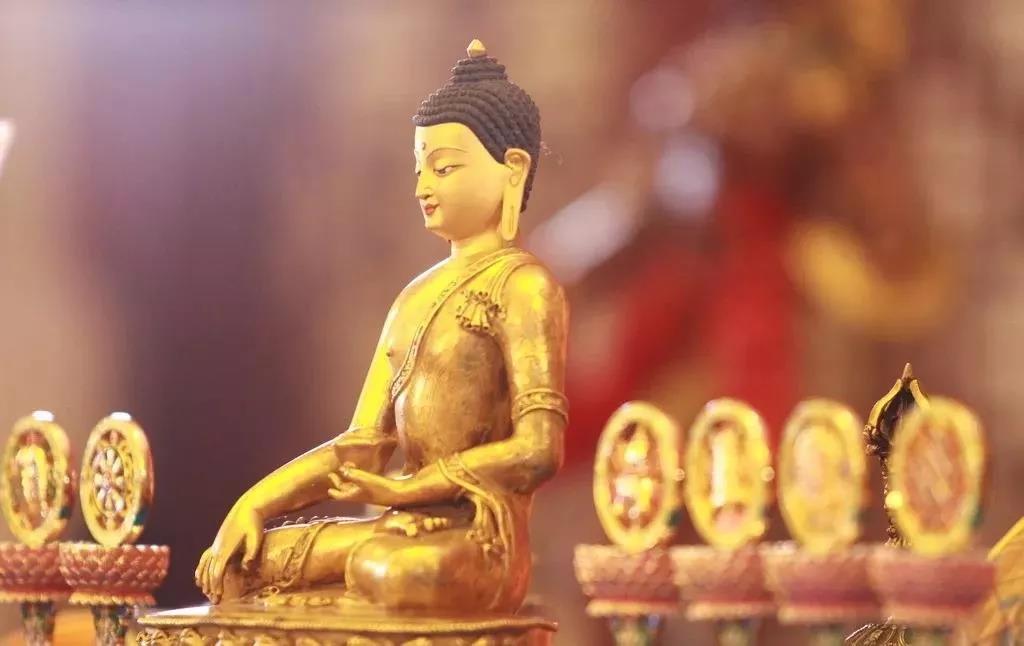 ���������Ҳ��ƽ��