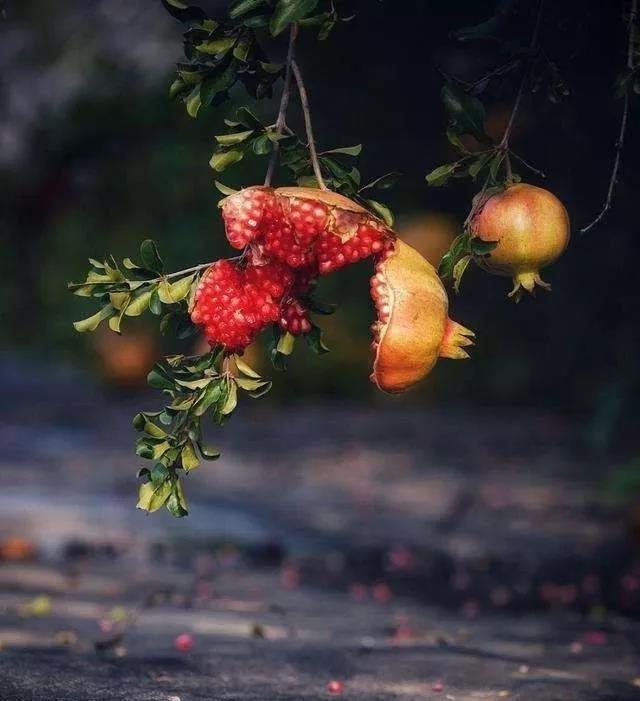 ѧ����ƫ��_,_��������Լ�����֪�����Ͻ���������һ��