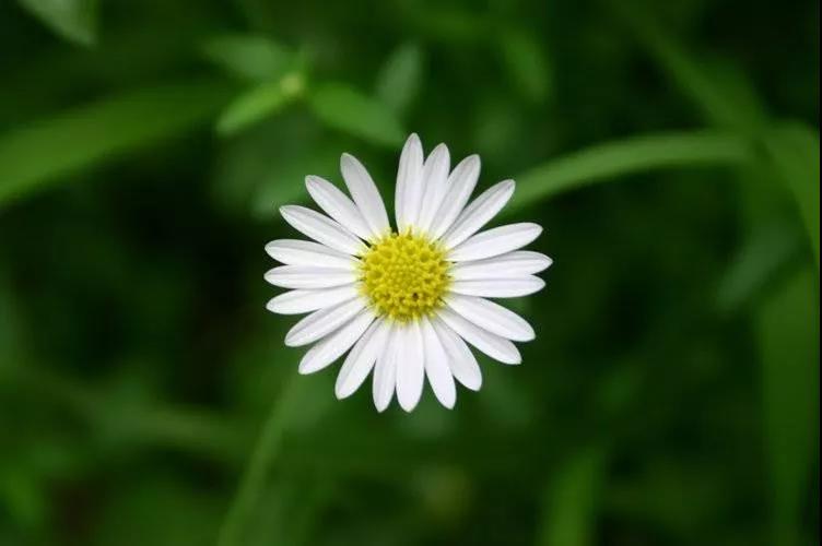 �����Ե�ˡ������ղ�ִ�������ղ����