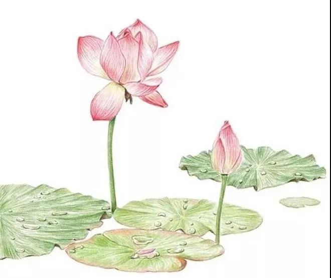 �������ˣ�������ӭ����������Ц���Ӷ���......