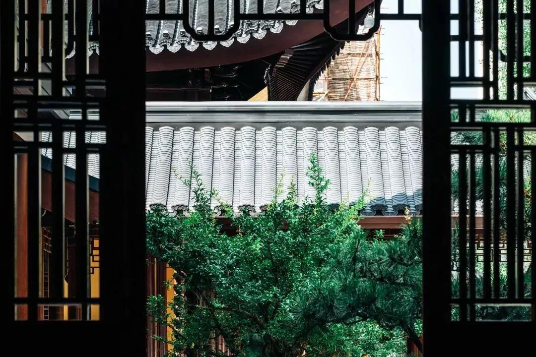 ���ǽ����ܹ������𷨣�����Ī��Ļ�Ե��Ī�������