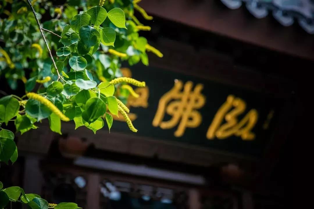 ���ǽ����ܹ������𷨣�����Ī��Ļ�Ե��Ī�������