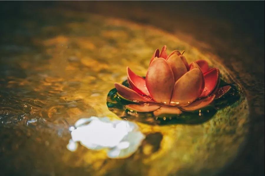 这样念佛,才能最大程度感通佛力! 这样念佛,才能最大程度感通佛力!