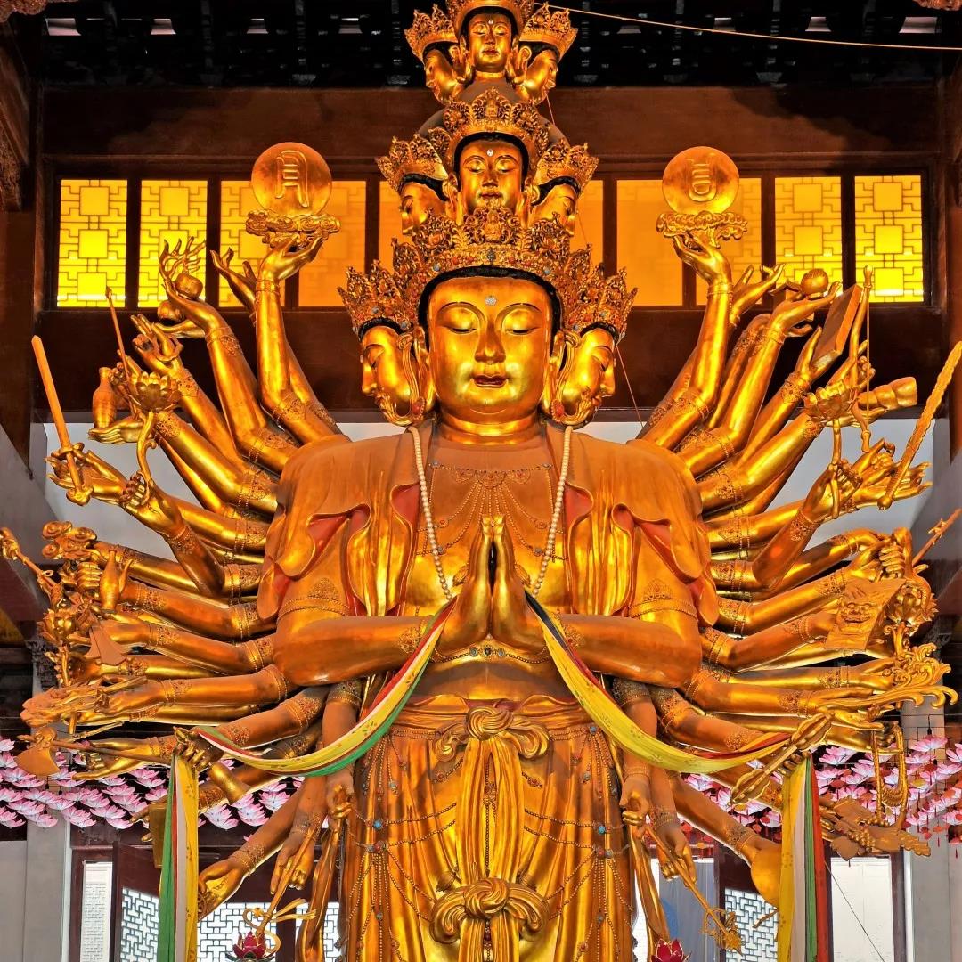 ���չ�ӭ���������������գ��������������ܾ������!