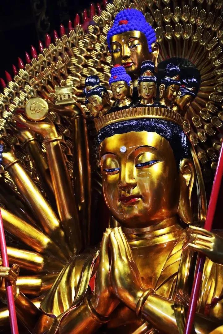 ���չ�ӭ���������������գ��������������ܾ������!