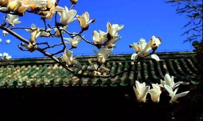 �����ߵ��ľ������Դȱ�֮�ģ��ն�����