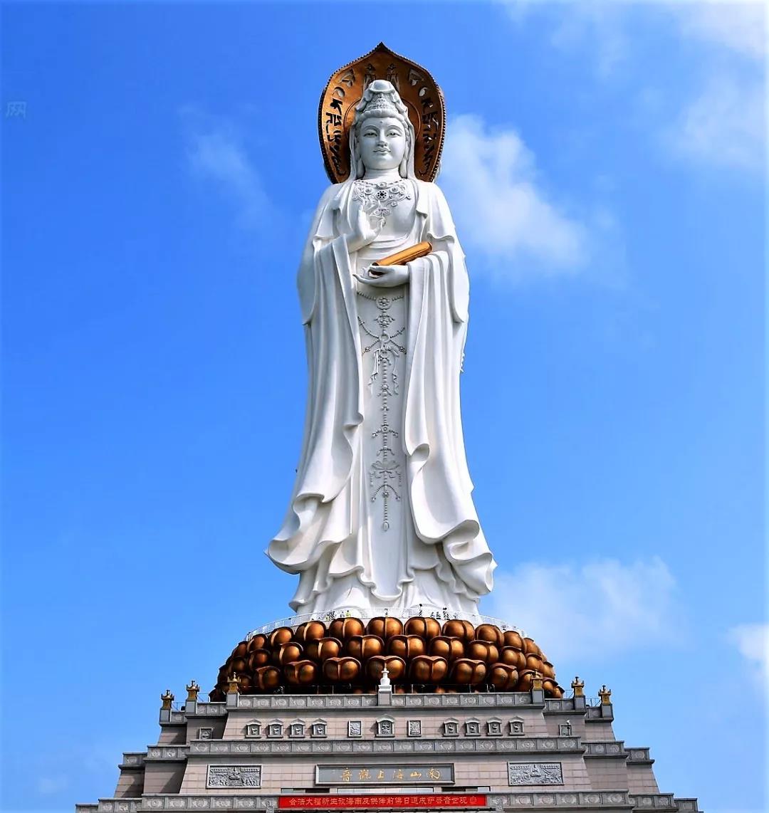 �����������ĸ�Ӧ����Ĳ�һ��