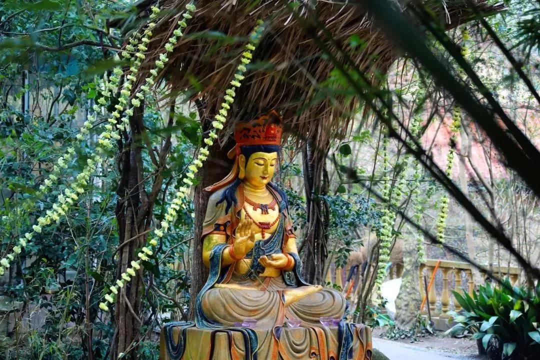 《心经》里的人生启示,一定要看! 《心经》里的人生启示,一定要看!