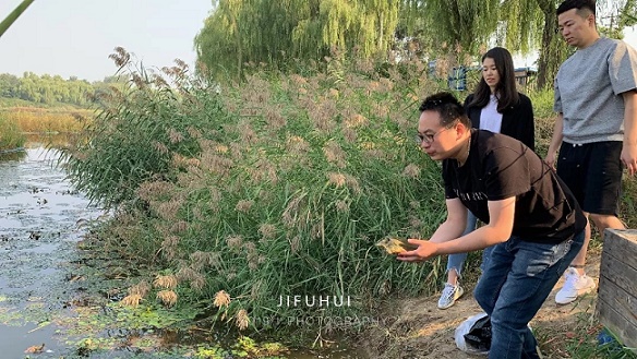 �����������������ʮ���ڷ������ᣡ����Բ����