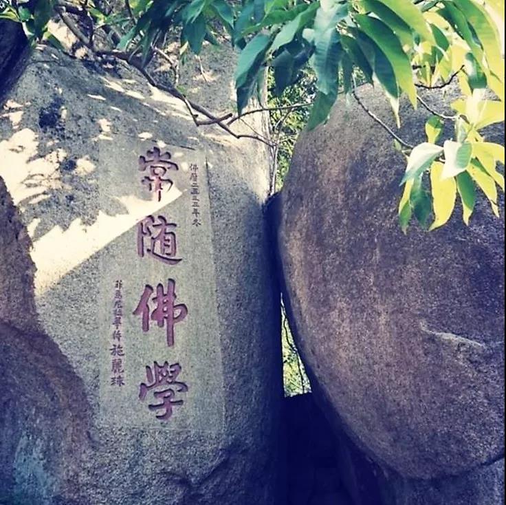 �����ѧ_ѧʲô����ôѧ��