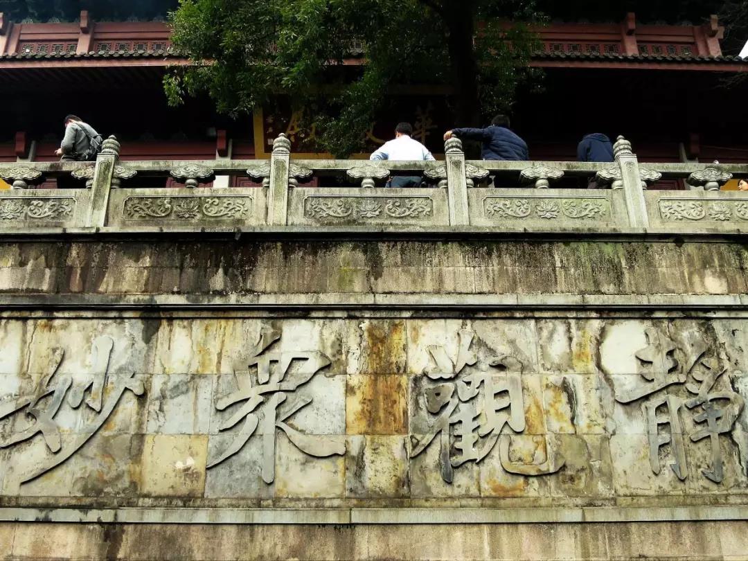 �����ѧ_ѧʲô����ôѧ��