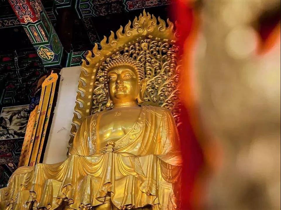 �����ѧ_ѧʲô����ôѧ��