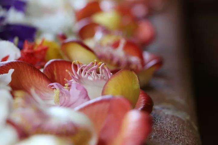 ����ʲô����ҵ����ǰ������Ҫ������������