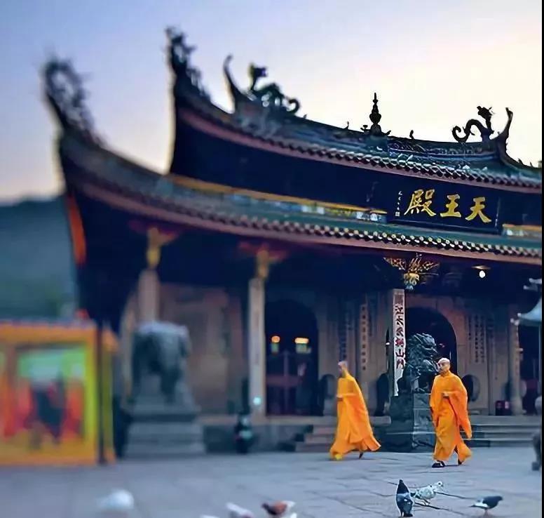 皈依了,你就赚大了!不信你看! 皈依了,你就赚大了!不信你看!