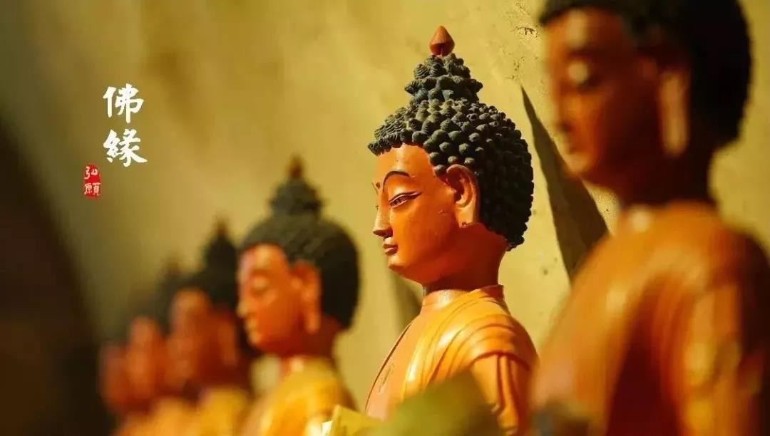 皈依了,你就赚大了!不信你看! 皈依了,你就赚大了!不信你看!