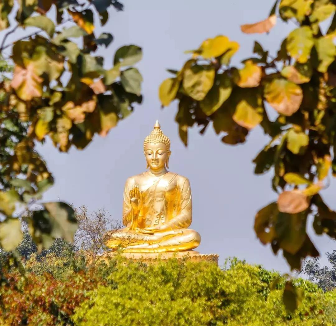 �������һ����������е������Ȱε���������