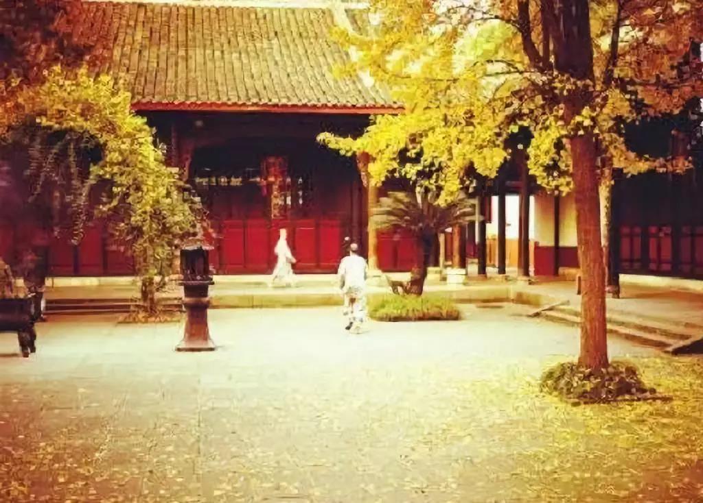 修行的目的,就是寻回原本清净的自心自性 修行的目的,就是寻回原本清净的自心自性