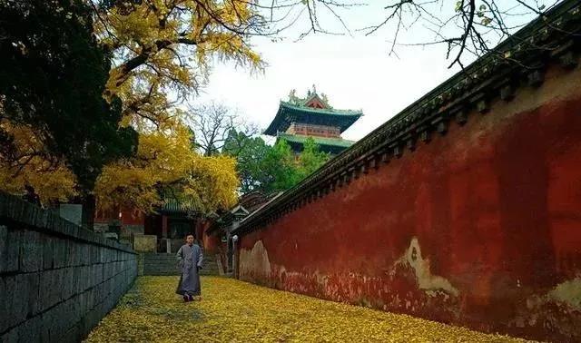 ��ʿ��ɮ�˲��������ѡ����ۣ�