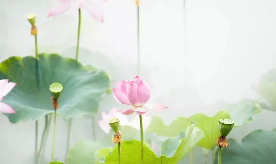 ��ʿ��ɮ�˲��������ѡ����ۣ�