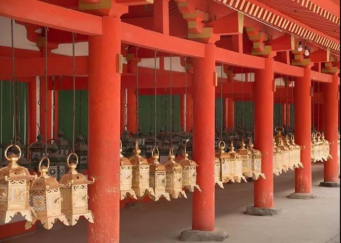 ���Խ�������ľ����������װ�һ��·��ǧ�����˲���ȥ