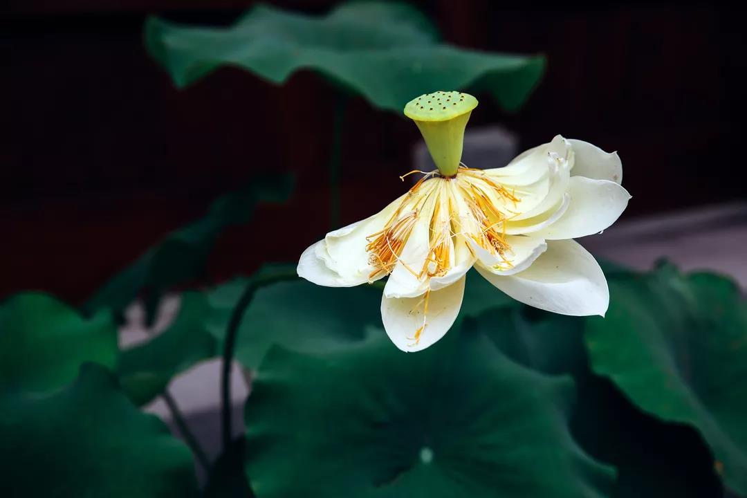 �󲻵á������롢�Ų��£�ֻҪ��͸��һ�㣬����Ϊ������ĥ