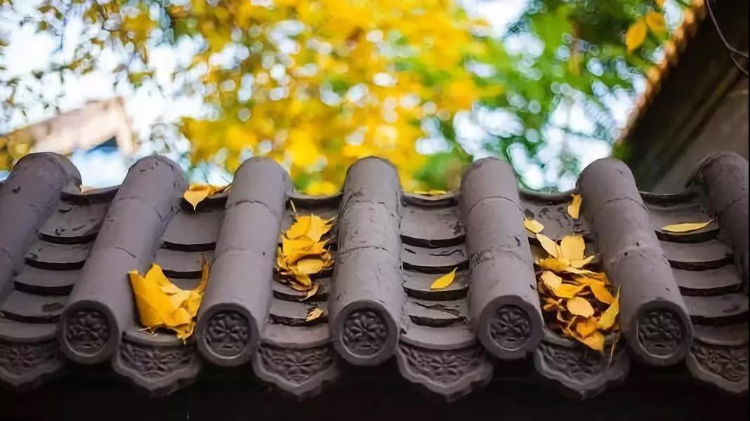 ӡ�ⷨʦ���������䣬���˸�������