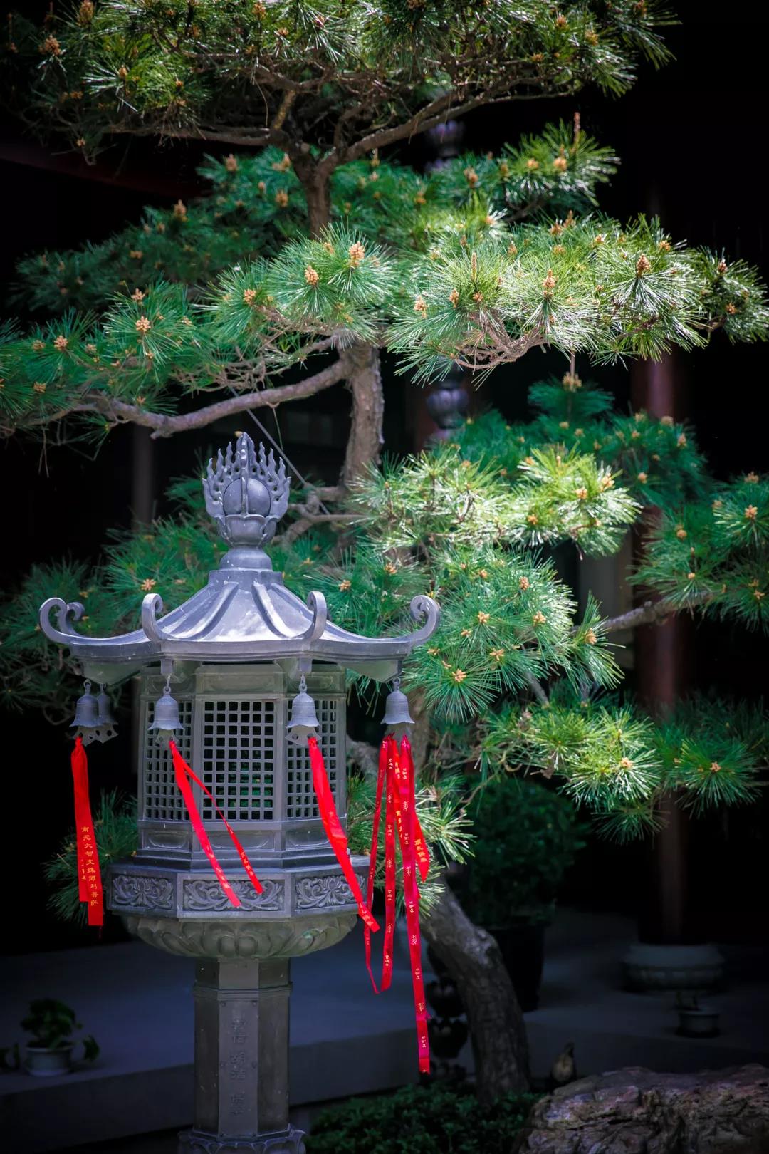 �����ĵ����ж���£��ľ�һ��ɳ