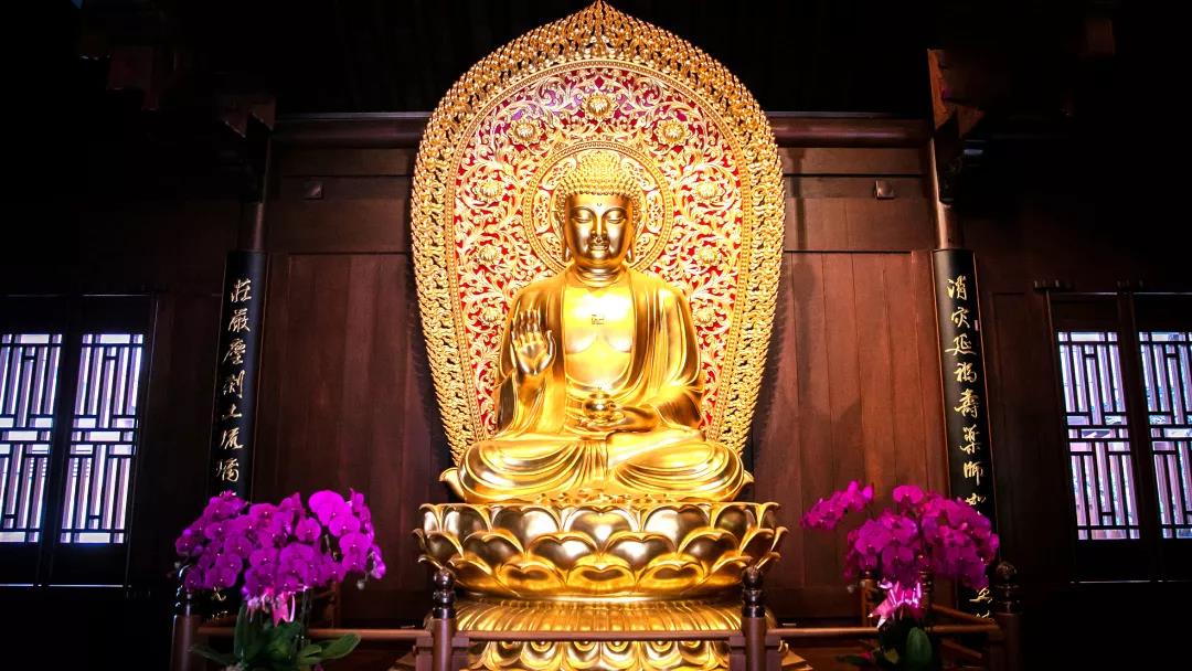 ���չ�ӭҩʦ��ʥ������Ը�����������ѣ��������٣�