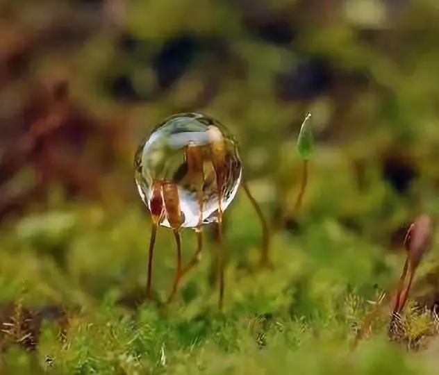 为什么看不破呢?一切都有啊 为什么看不破呢?一切都有啊