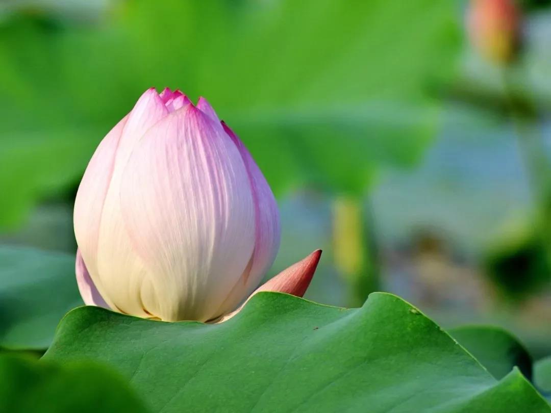 ���������ܲ���ͬʱ�ޣ�