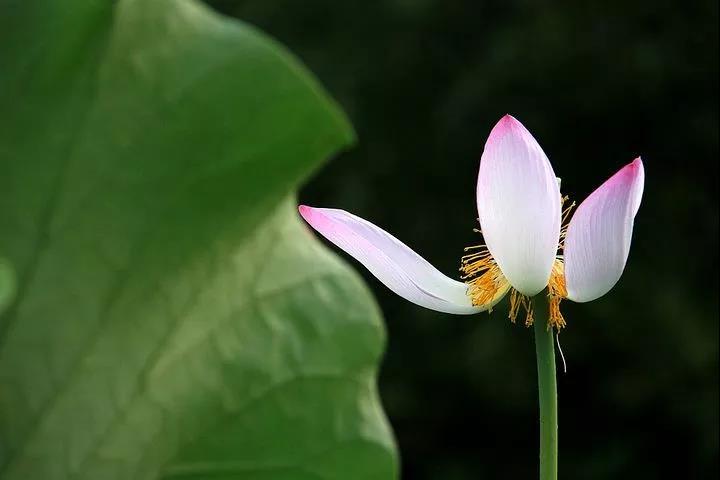 �����κ�ʱ�����Ƕ��л���ı�����