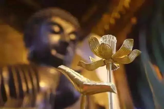 ������������Ʒ���������������