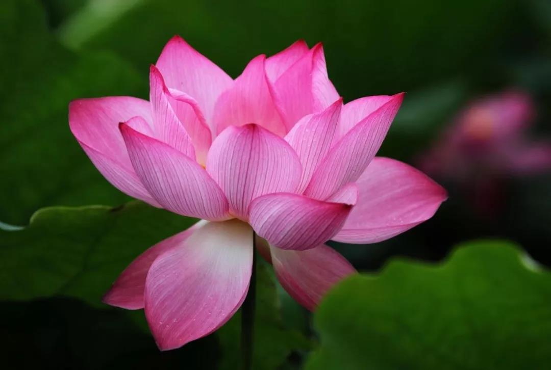 ������������Ʒ���������������