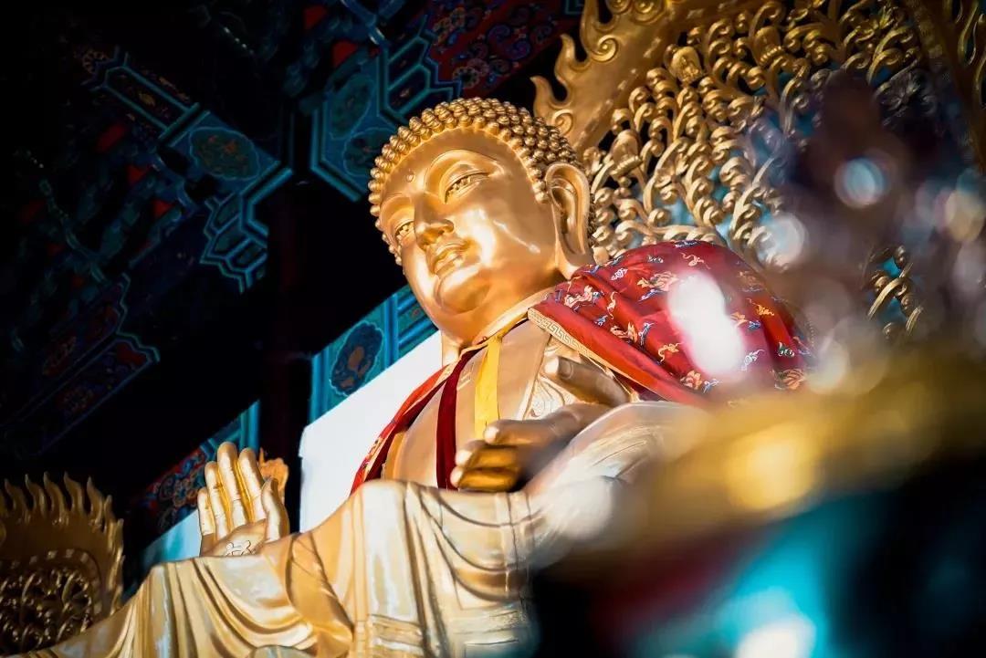 你误会了佛教的_"四大皆空" 你误会了佛教的_"四大皆空"