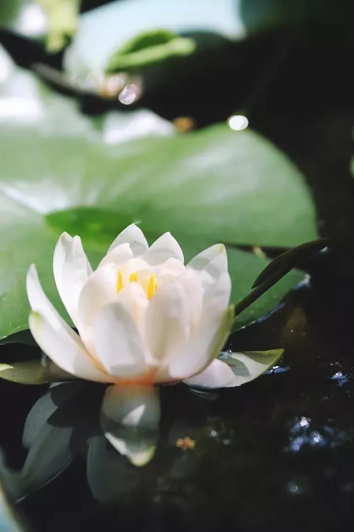 你误会了佛教的_"四大皆空" 你误会了佛教的_"四大皆空"